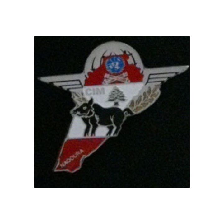 35°RAP : 35°RÉGIMENT D'ARTILLERIE PARA CIM 420°DIM NAQOURA
