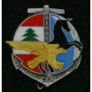 1°RIMA : 1°RÉGIMENT D'INF DE MARINE CEA REG FRANCE FINUL 1985