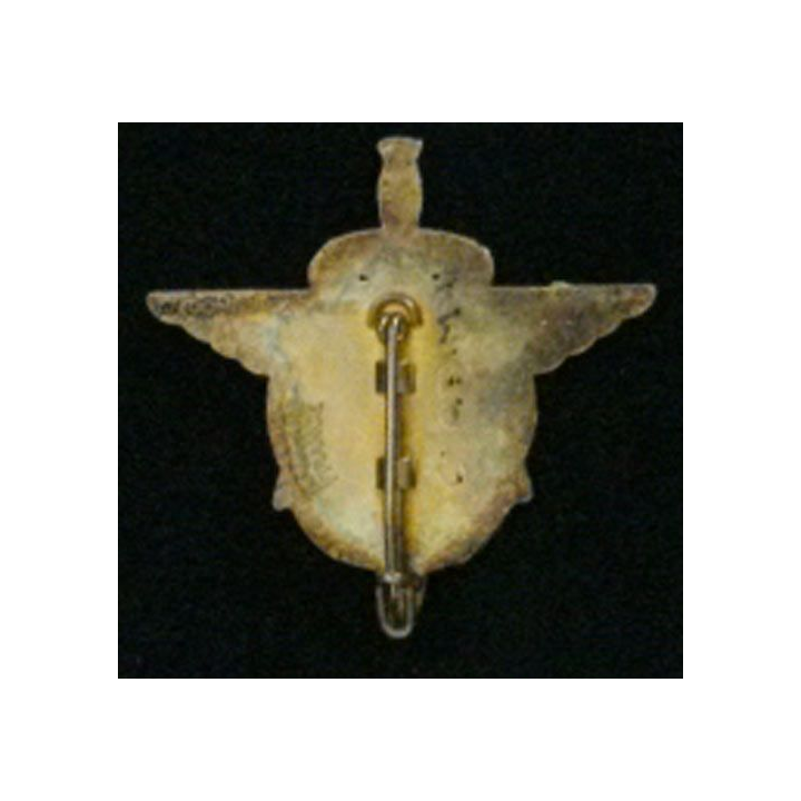 6° RPIMA : 6° RÉGIMENT PARA D'INF DE MARINE BAT INF 2 1995-1996