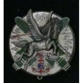 6° RPIMA : 6° RÉGIMENT PARA D'INF DE MARINE SECTION MILAN