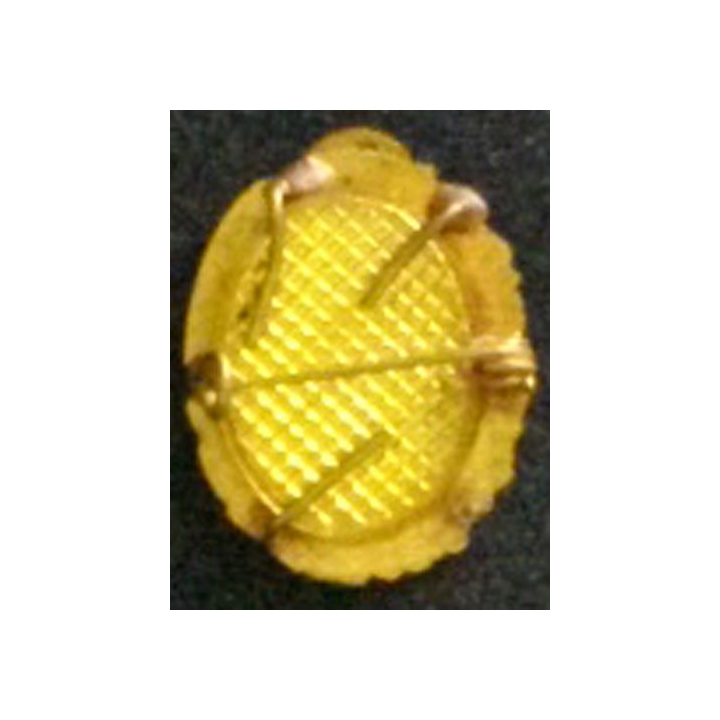 insigne de brevet de chef de section du Génie type 2 modèle fourragère