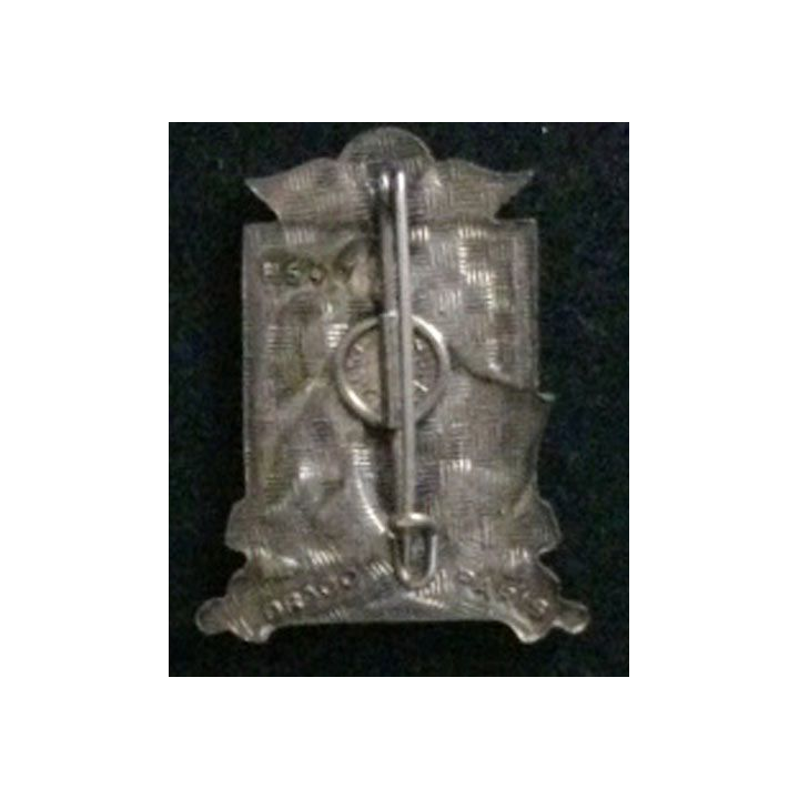 35° RAP : insigne du 35° régiment d'artillerie parachutiste
