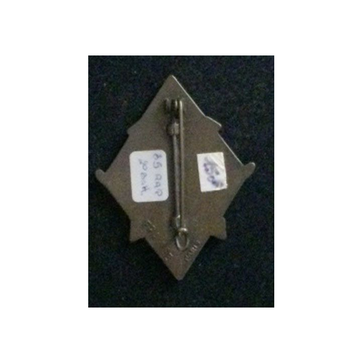 35° RAP : insigne de la 2° batterie du 35° régiment d'artillerie parachutiste, au Tchad opération Manta, de fabrication Fraisse