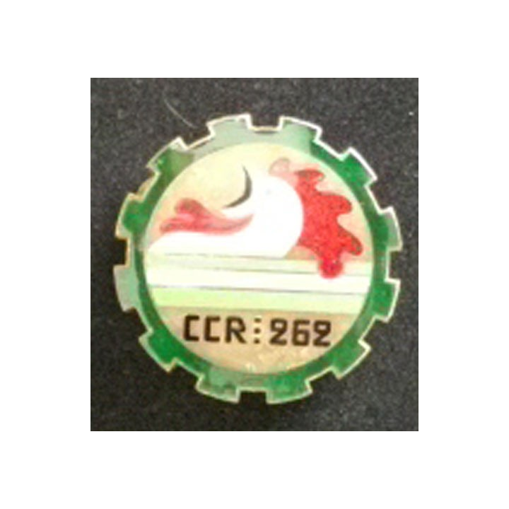 262° CCR : 262° COMPAGNIE DE CIRCULATION ROUTIÈRE
