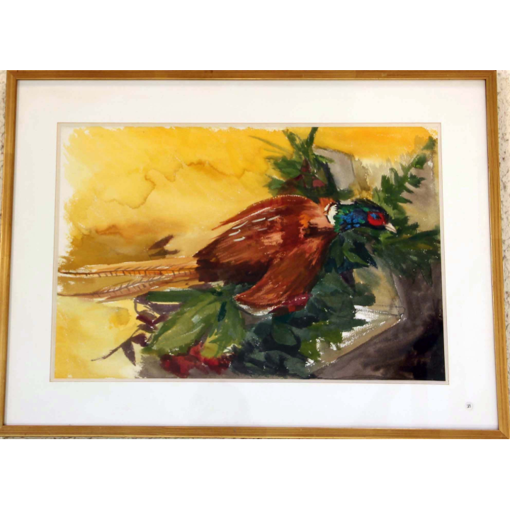 Gouache de Svetlana Manen intitulée Faisan royal