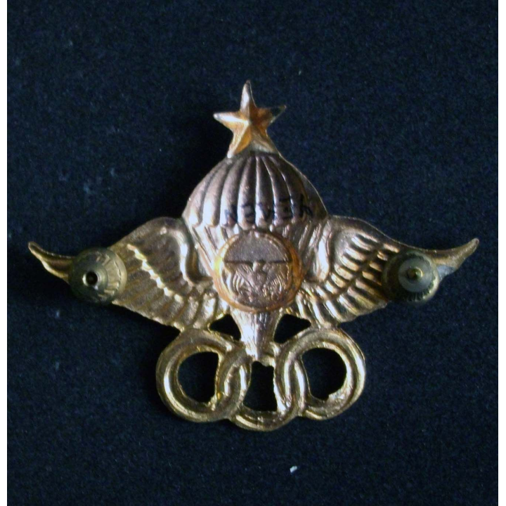 Insigne de brevet moniteur parachutiste yéménite