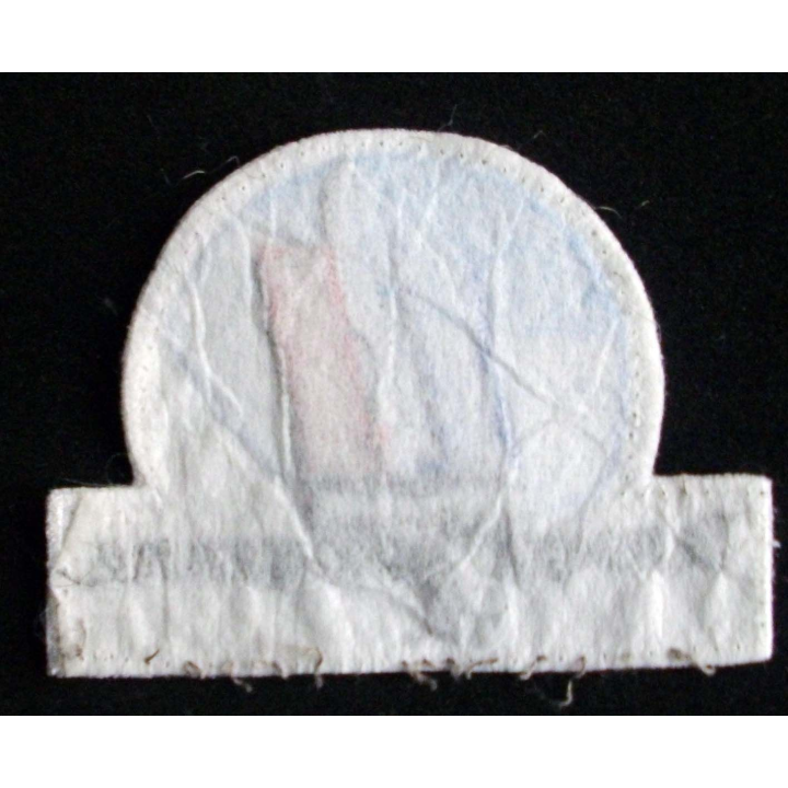 Insigne tissu de l'armée de terre sur fond blanc et globe