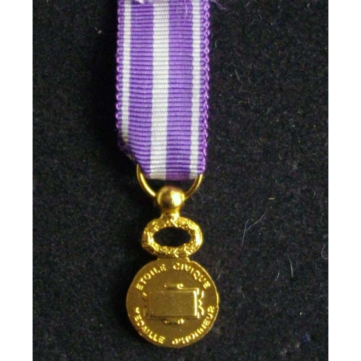 Médaille d'honneur de l'étoile civique en vermeil