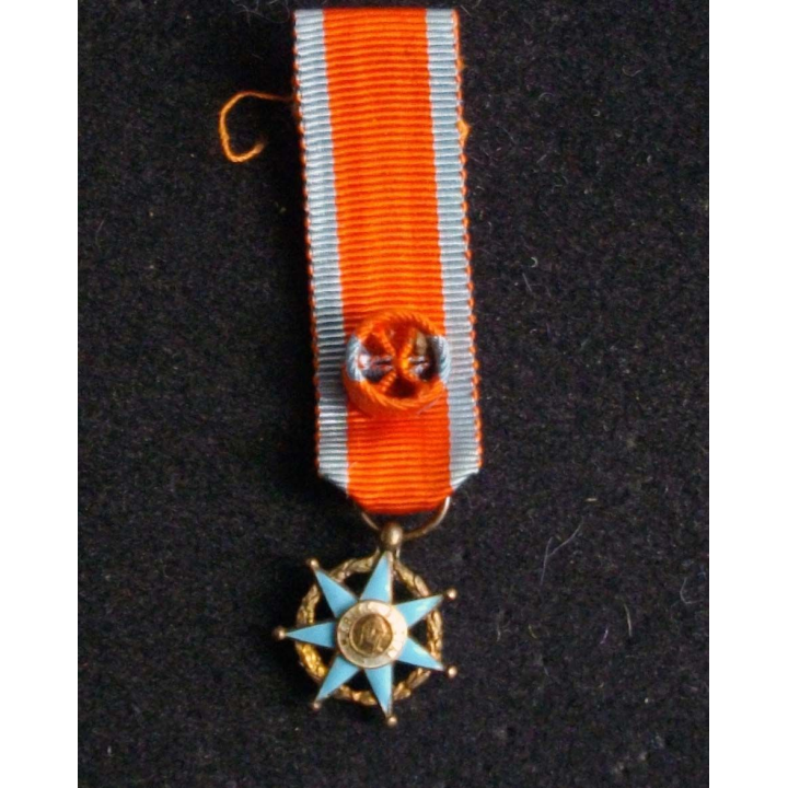 Médaille miniature d'officier de l'Ordre du Mérite Social en vermeil