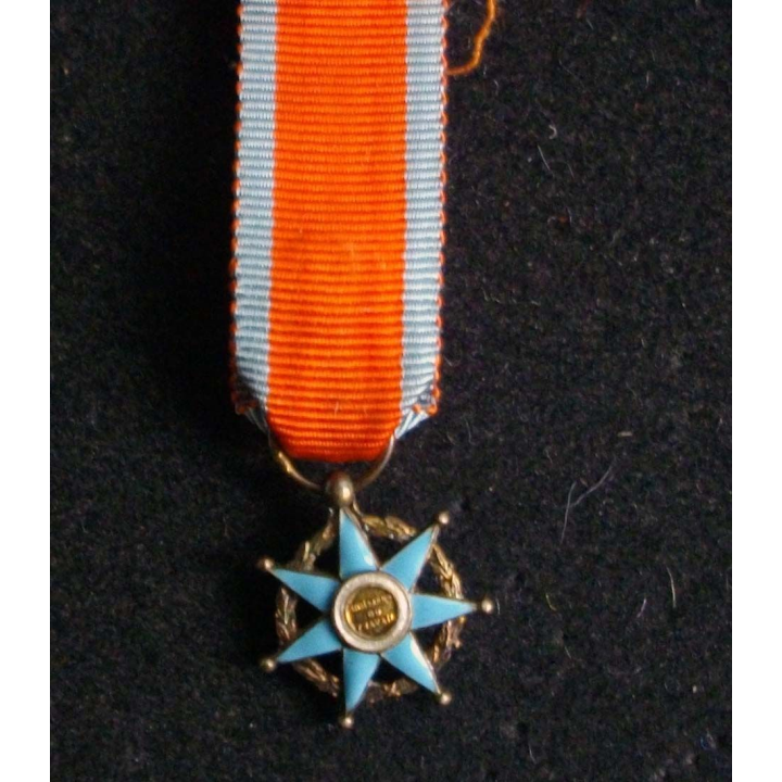 Médaille miniature d'officier de l'Ordre du Mérite Social en vermeil