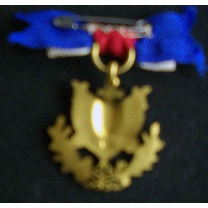 Médaille d'association d'anciens combattants en bronze