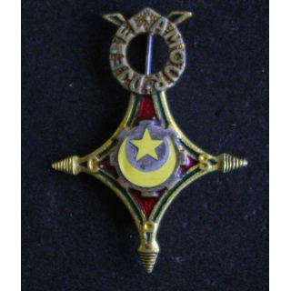 insigne métallique de la Compagnie Saharienne Portée DJEBEL AMOUR