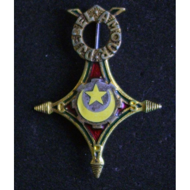 insigne métallique de la Compagnie Saharienne Portée DJEBEL AMOUR