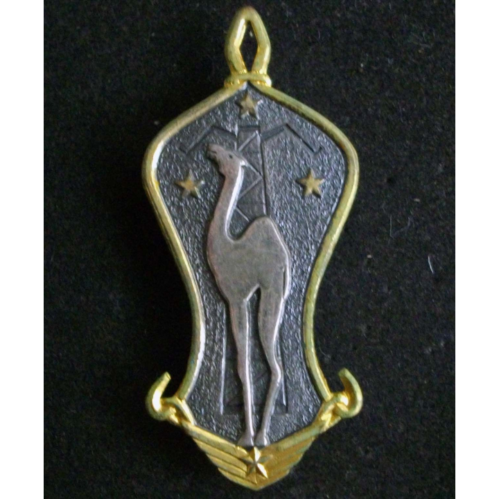 insigne métallique de la Zone Est Saharien Drago Paris G. 1684
