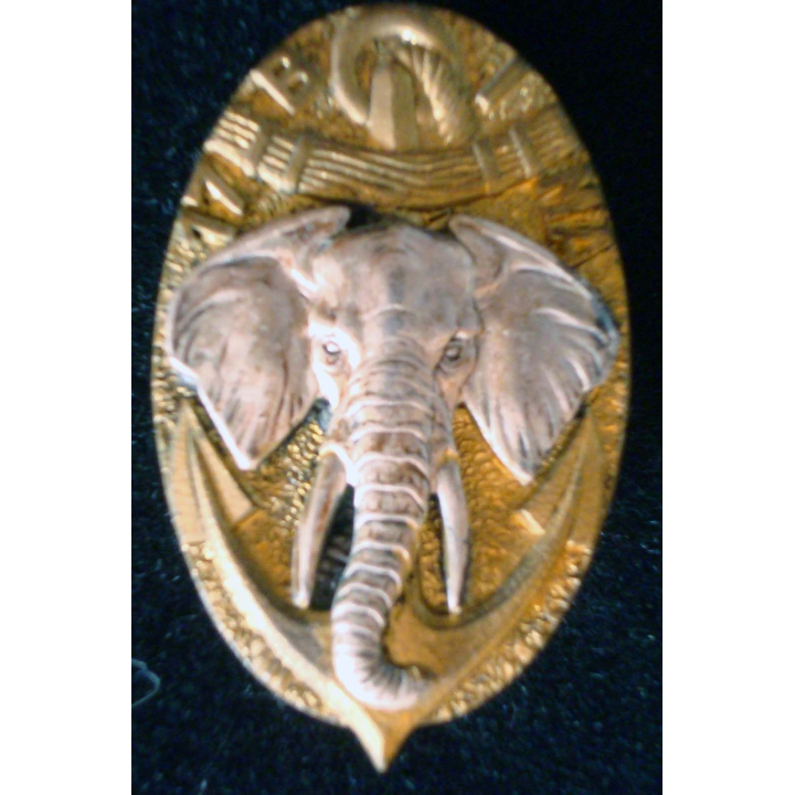 Insigne métallique du 17°BIMA Drago G. 1593 dos argenté