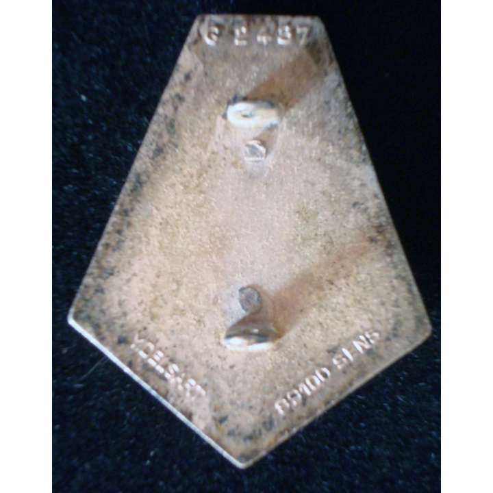 insigne métallique du 6° BIMA Delsart G. 2487