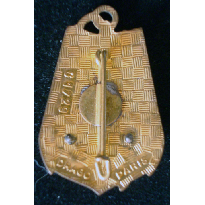 Insigne métallique du 43° BIMA Drago G. 1729