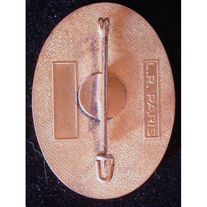 Insigne métallique du 4° escadron du 5° RIAOM F. F. D. J 1° modèle LR