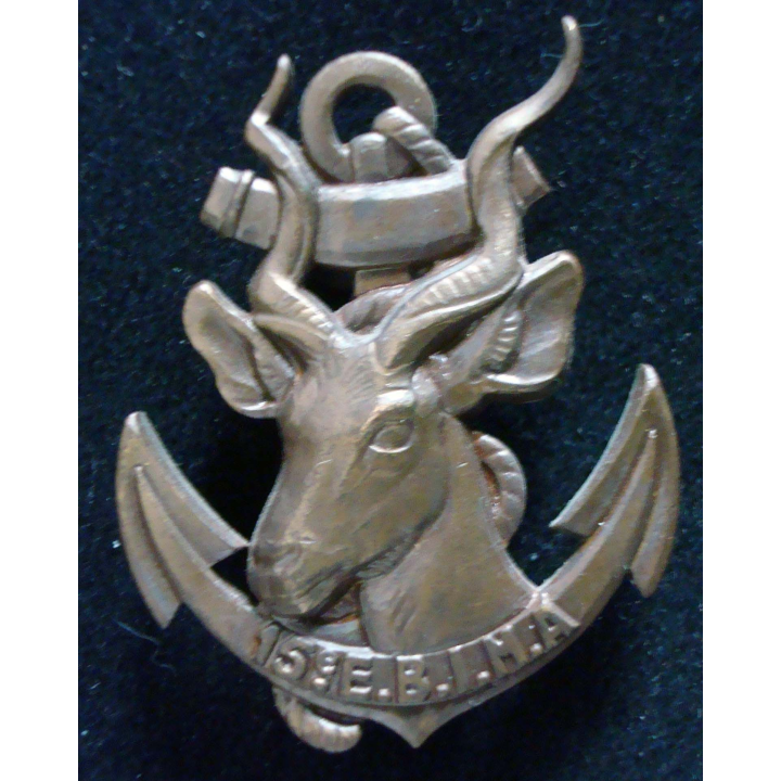 15° escadron blindé d'infanterie de marine Drago G. 1733