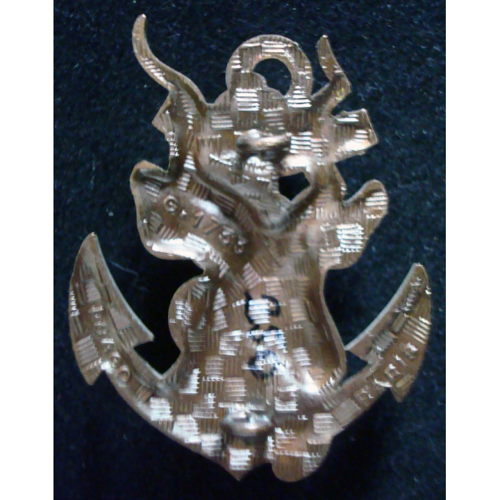15° escadron blindé d'infanterie de marine Drago G. 1733