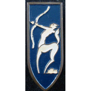 Centre de tir d'engins blindés de Mailly Drago G. 1133 peint
