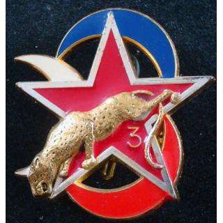 Escadron d'éclairage divisionnaire de la 3° DB Delsart G. 2850