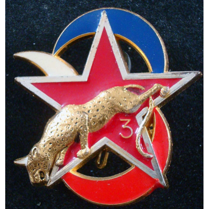 Escadron d'éclairage divisionnaire de la 3° DB Delsart G. 2850