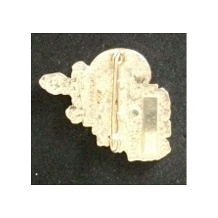 17° RGP 1° CIE PAMIR : 17°RÉGIMENT DU GÉNIE PARACHUTISTE 