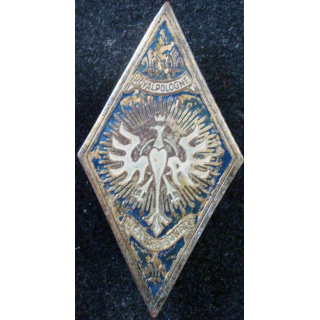 5° régiment de cuirassiers Royal Pologne de fabrication locale peinte