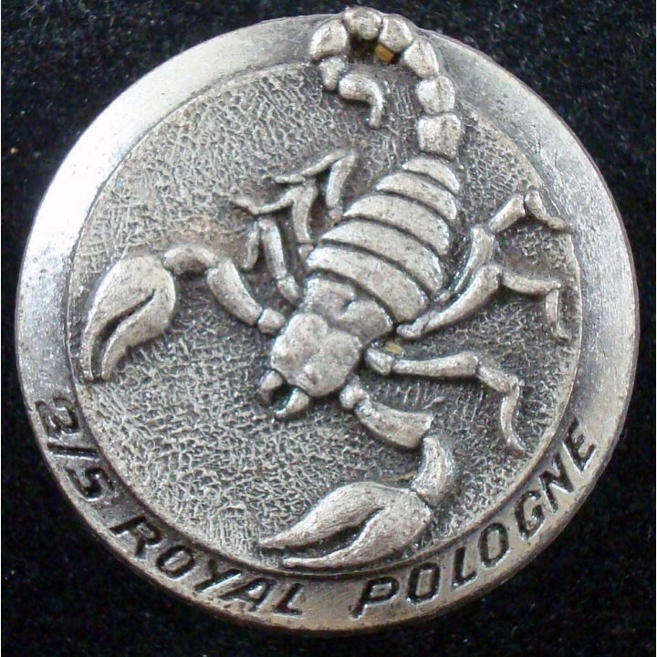 2°escadron du 5° régiment de cuirassiers Royal Pologne Drago