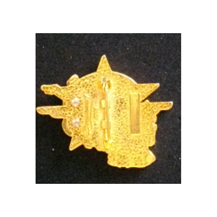 1° RÉGIMENT DE CHASSEURS PARACHUTISTES 2° CIE PAMIR XIII RCP