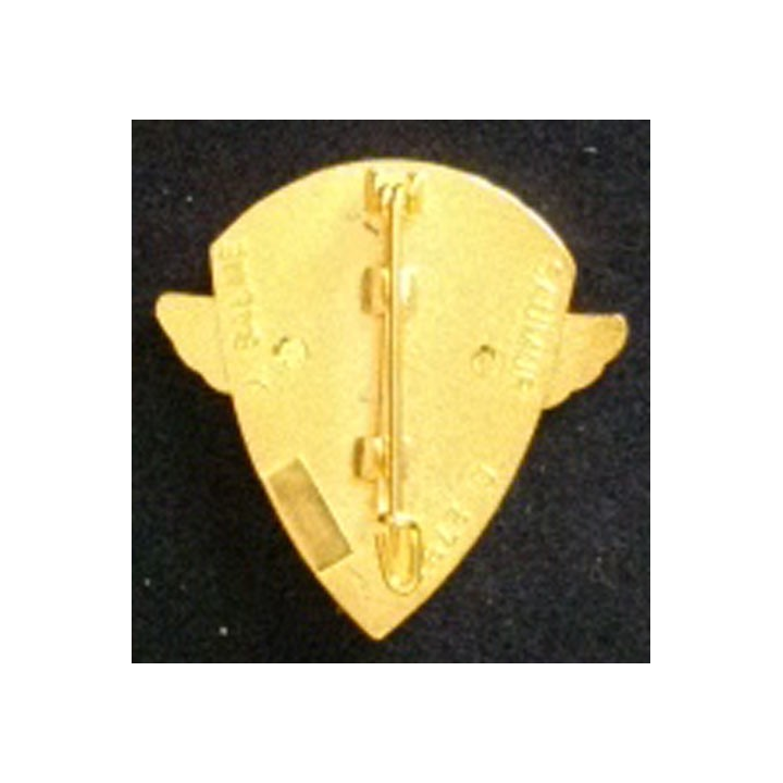 3°RCP : 3°RÉGIMENT DE CHASSEURS PARACHUTISTES (41 mm)