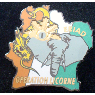 ERIAD du 1° régiment de chasseurs opération Licorne J.Y Ségalen