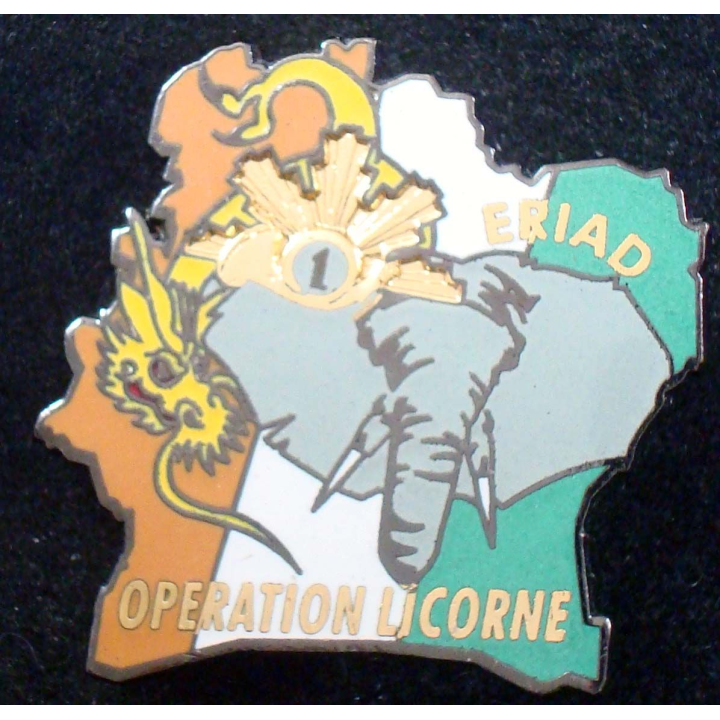 ERIAD du 1° régiment de chasseurs opération Licorne J.Y Ségalen