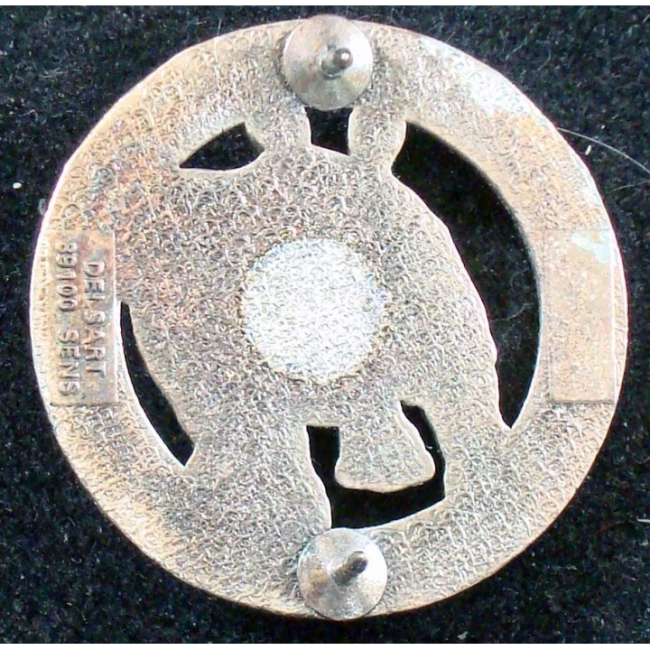 3° groupement d'escadrons martinpré du 2° régiment chasseurs Delsart