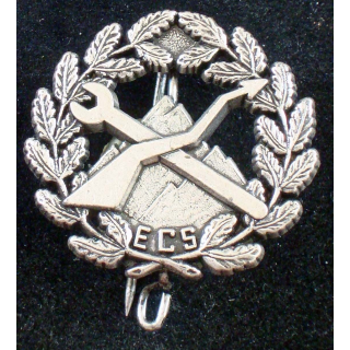 Escadron de commandement et des services du 4° chasseurs Delsart