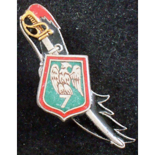 7° régiment de chasseurs Drago G. 2037 modèle plat de 48 mm en émail