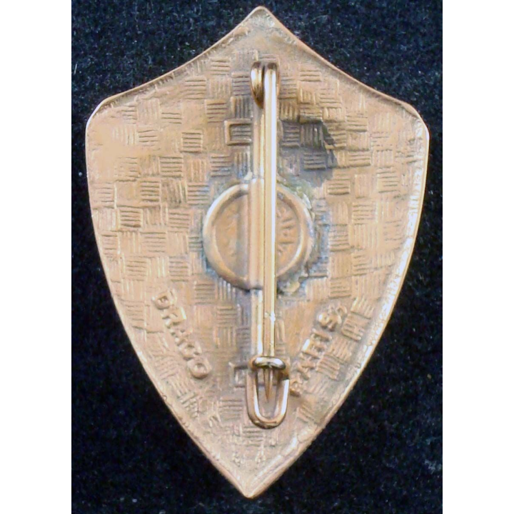 insigne du 8° régiment de chasseurs de fabrication Drago vert clair