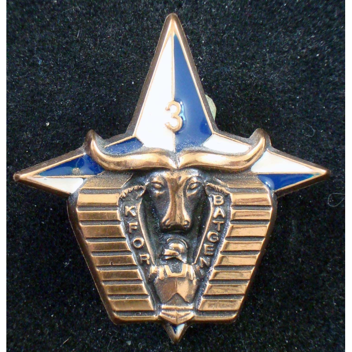 3° compagnie de combat blindé du 31° régiment du génie Kosovo n° 173