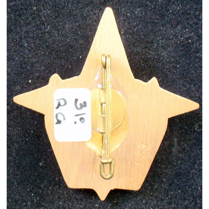 3° compagnie de combat blindé du 31° régiment du génie Kosovo n° 173