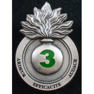 3° escadron du 6° et 12° régiment de cuirassiers Arthus Bertrand Paris