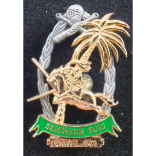 3° escadron du 503° groupe d'escadrons opération Licorne ERIAD