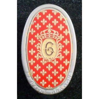 insigne du 6° régiment de dragons fabrication Arthus Bertrand G. 1017