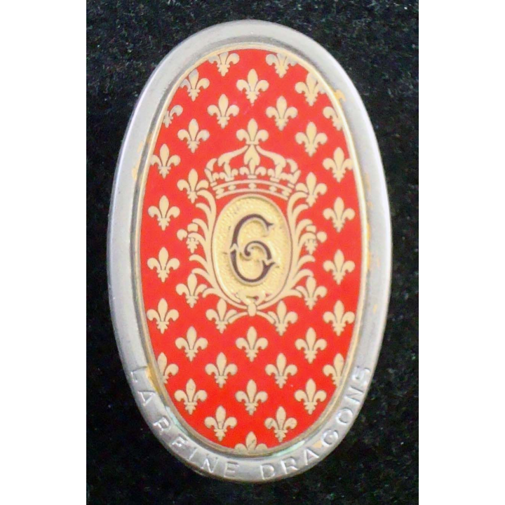 insigne du 6° régiment de dragons fabrication Arthus Bertrand G. 1017