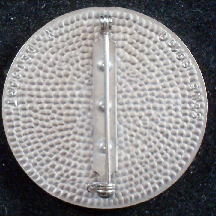 insigne du 2° escadron du 6° régiment de dragons Delsart casque plat
