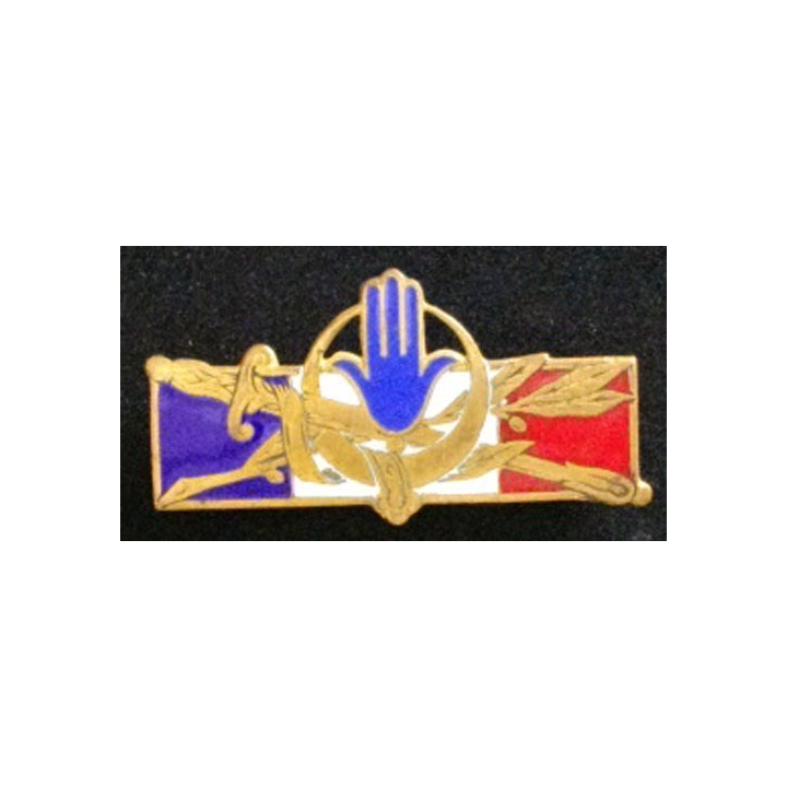 FORCES FRANÇAISES AFRIQUE DU NORD (D 1314) ÉMAIL DOS GUILLOCH