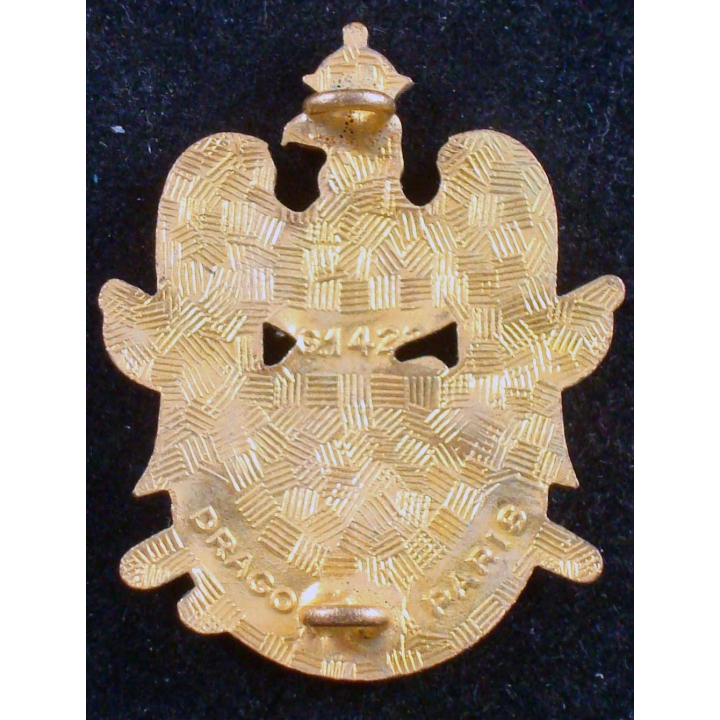 Insigne du 29° régiment de dragons Drago G. 1422 en émail casque doré