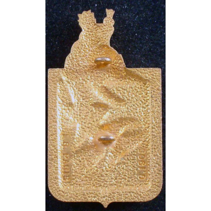 Insigne du 29° régiment de dragons LR Paris G. 1905 en émail monobloc