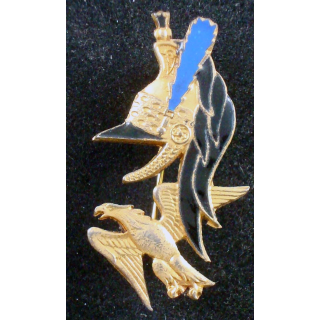Insigne de la 1° compagnie du 29° régiment de dragons LR monobloc
