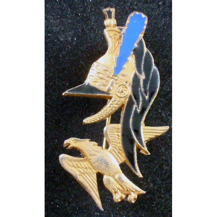 Insigne de la 1° compagnie du 29° régiment de dragons LR monobloc